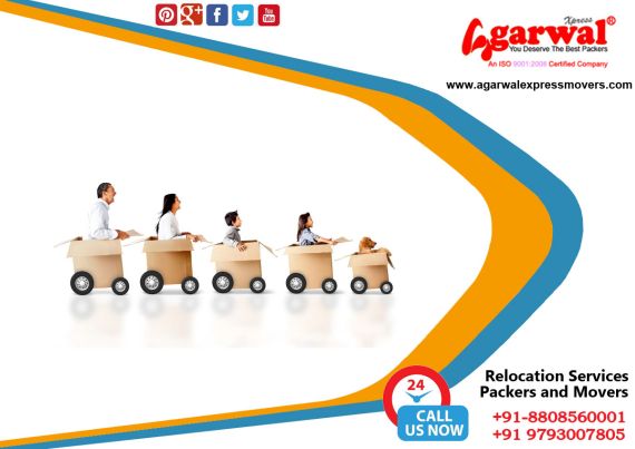 Packing and Moving Solutions in Muradnagar