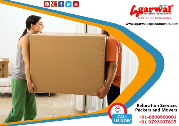 Packing and Moving Solutions